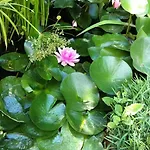 Hotel Dei Misteri 2*