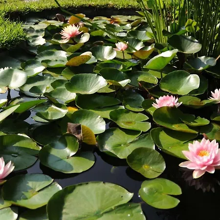 Ξενοδοχείο Dei Misteri