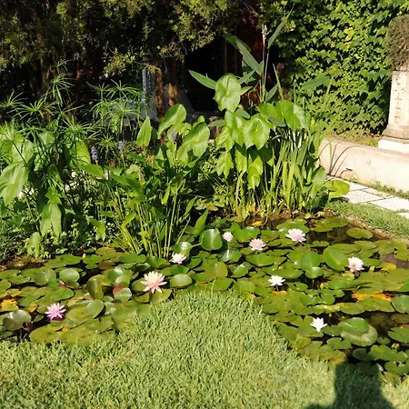 Ξενοδοχείο Dei Misteri