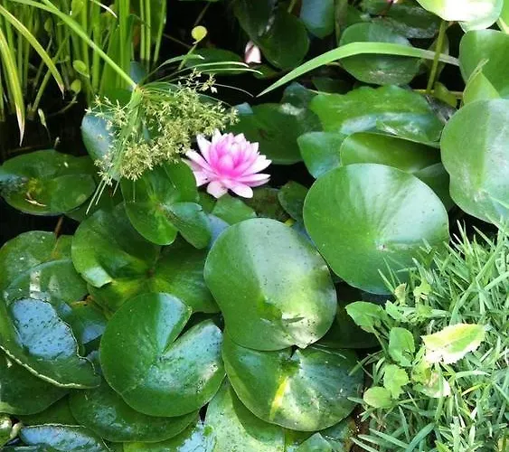 Hotel Dei Misteri 2*